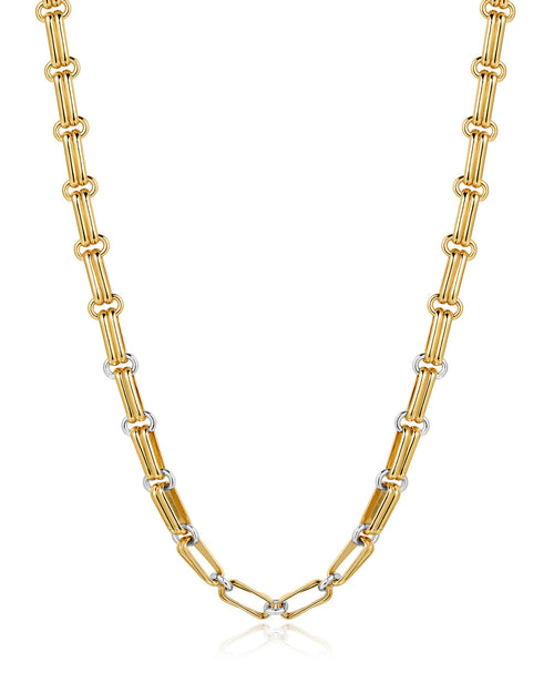 Dalia Two-Tone Chain Necklace