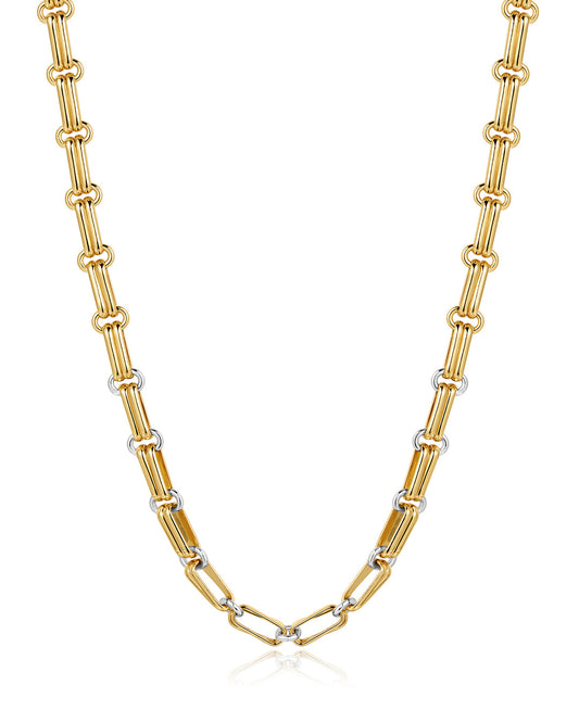 Dalia Two-Tone Chain Necklace