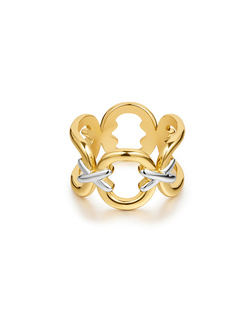 Two-Tone Chain Ring