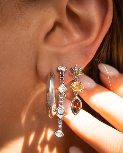 The Delphine Hoops